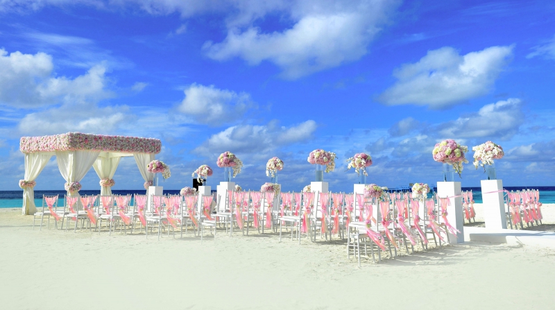 fleuriste-LA MARTRE-min_atoll-1854069