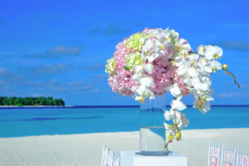 fleuriste-LA MARTRE-min_atoll-1854071